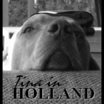 Profile picture of Tina in Holland